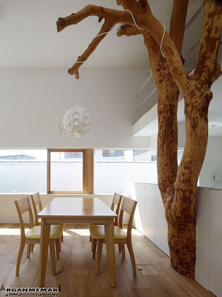 خانه درختی در ژاپن